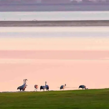 Maison Neuve Avec Garage 200m Du Der 6 Couchages Nyaraló